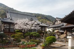 10-Tempel in Tomochotomo